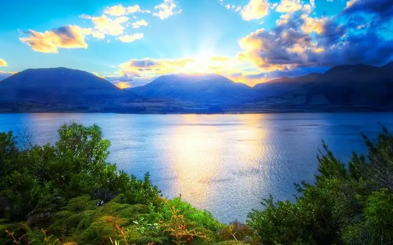 智能系统先进网络化